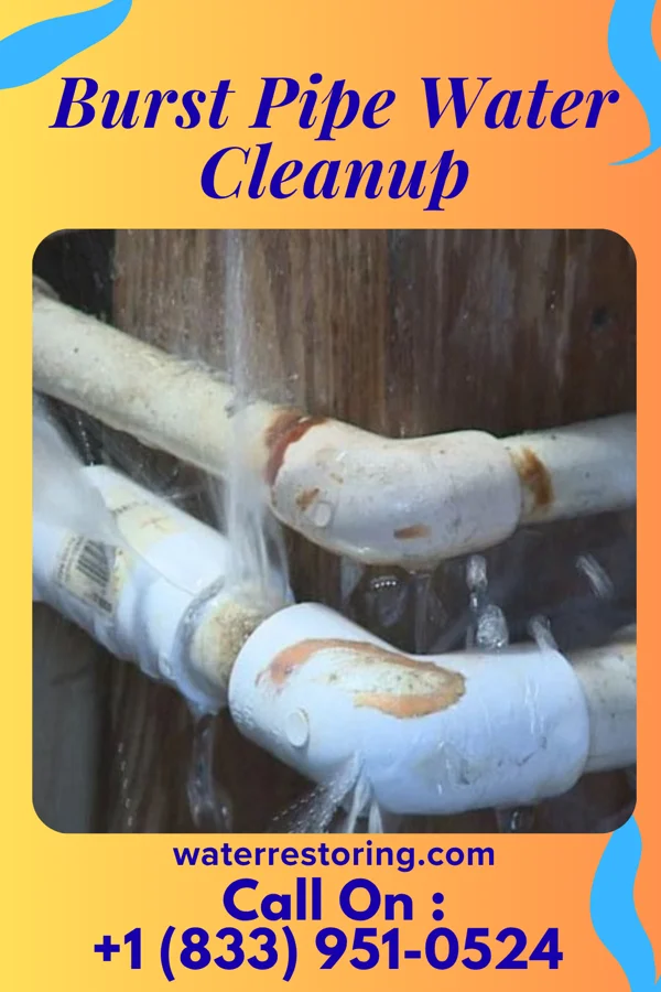 Burst Pipe Water Cleanup in Minooka, IL