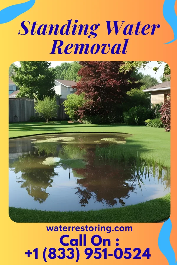Standing Water Removal in Minooka, IL